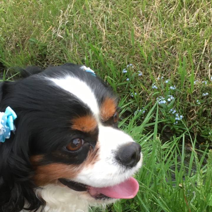 A8f8a728 573e 4199 9775 86b153060168