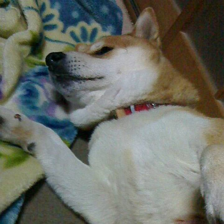 A8f8cabd 57a4 458b a710 9a0b07301d47