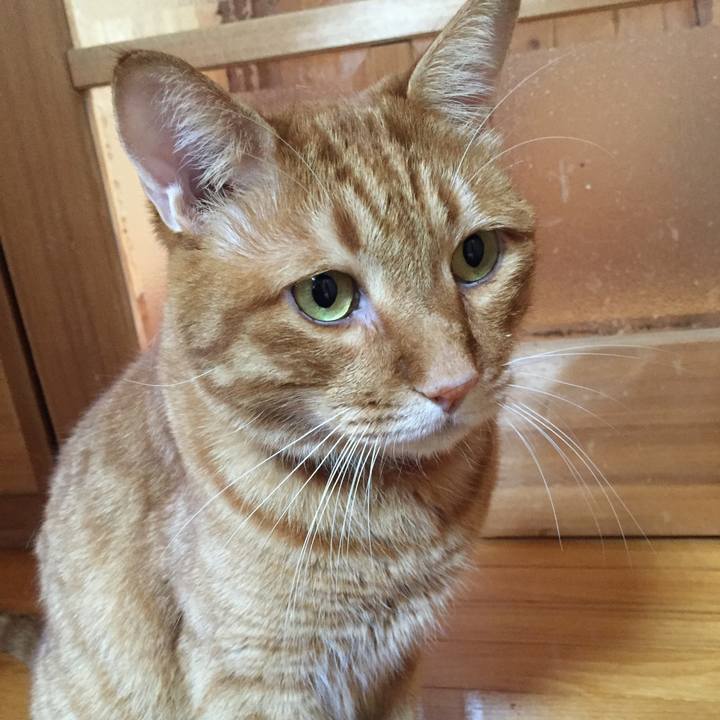 A8f91d7b 3a00 4729 8d62 bec12d71cbc8