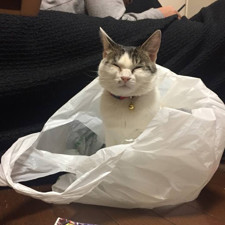 A8f928f7 703c 45f2 86a2 1df25ad73242