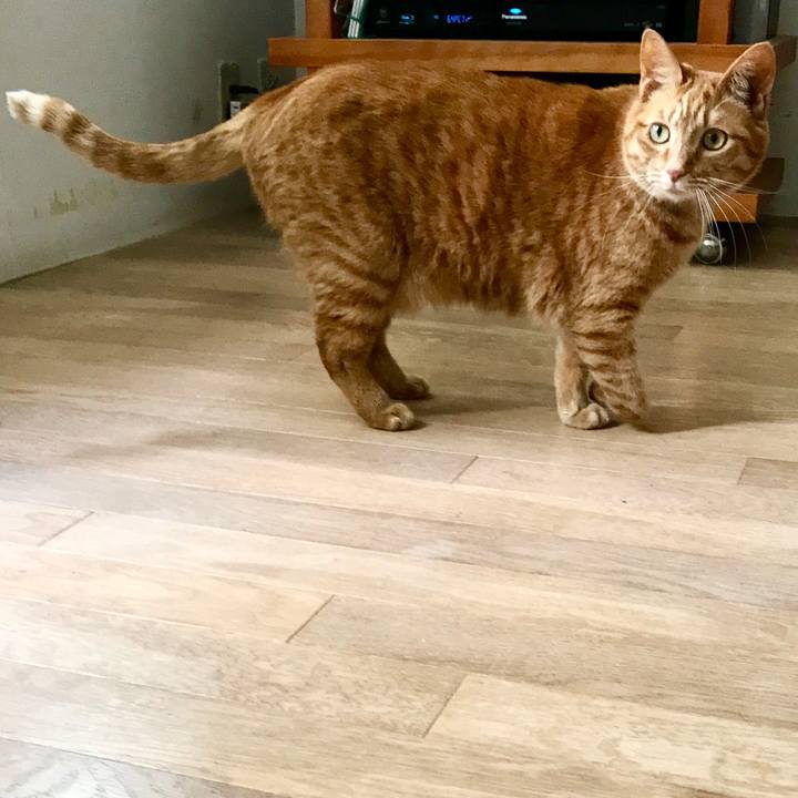 A8f97a00 1413 4aee 815f 7258c8277858