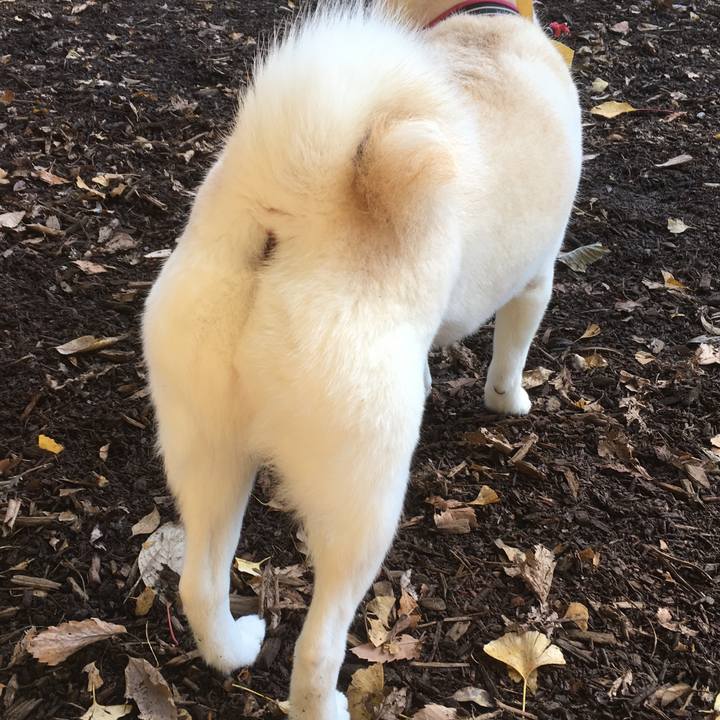 A8f98756 3199 481f 9b28 4d08bcecb5c1