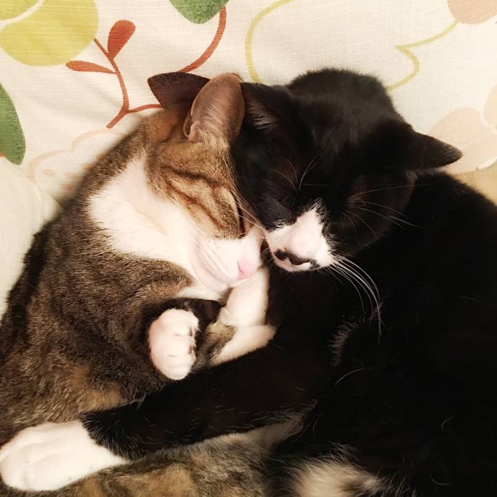 A8f9adc5 7a1b 4f6b bc18 dd407aea39cc