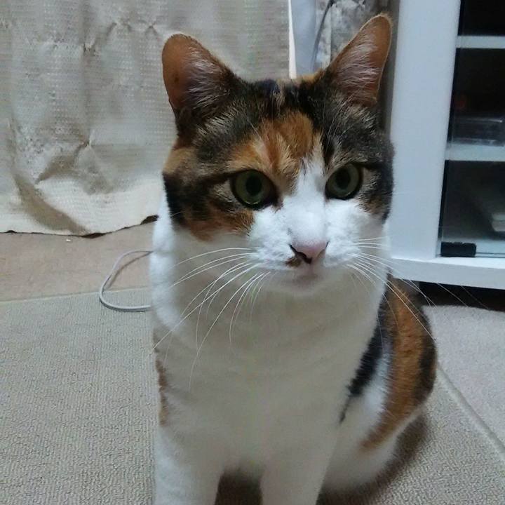 A8f9b782 24d5 446a a575 530b14712682