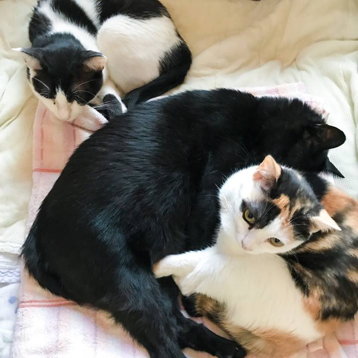 A8f9c953 66c1 4b3c 8dea 7e7a16c6a056