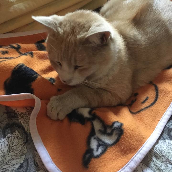 A8f9d525 58dc 4521 bc97 63c1fdb3c3c5