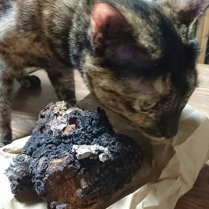 A8fa1d49 721d 4379 a487 00f8c27fa0a5