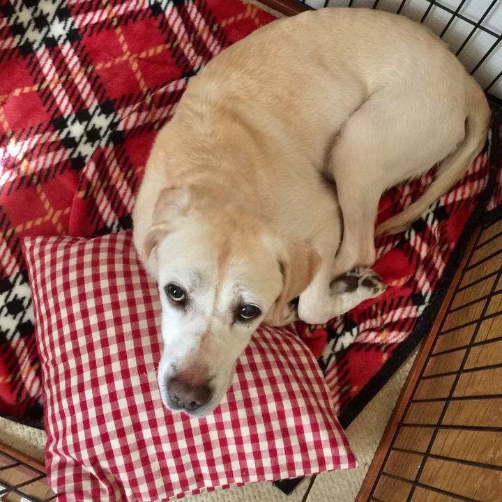 A8fa355f 9f60 4ca9 b009 1a3f2f41c759