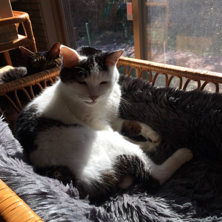 A8fac32f 3344 4ce7 af97 641f18091628