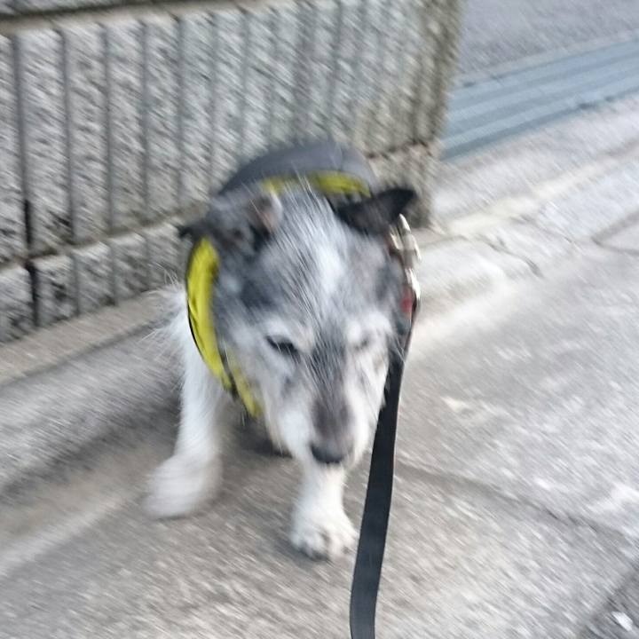 A8faf179 0e45 4f13 bd4f 10ce1b3b9554