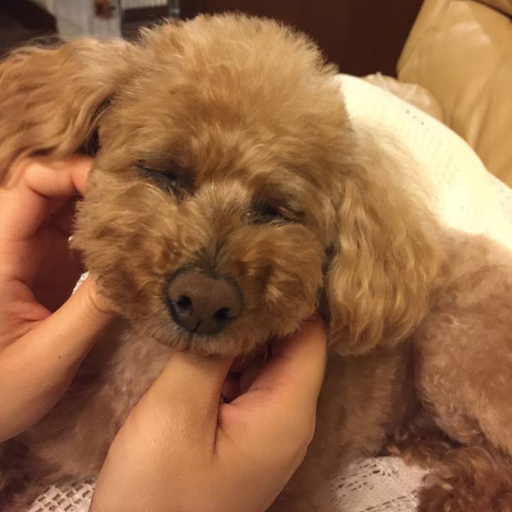 A8fb8959 3661 47da a408 be35da79c5b9