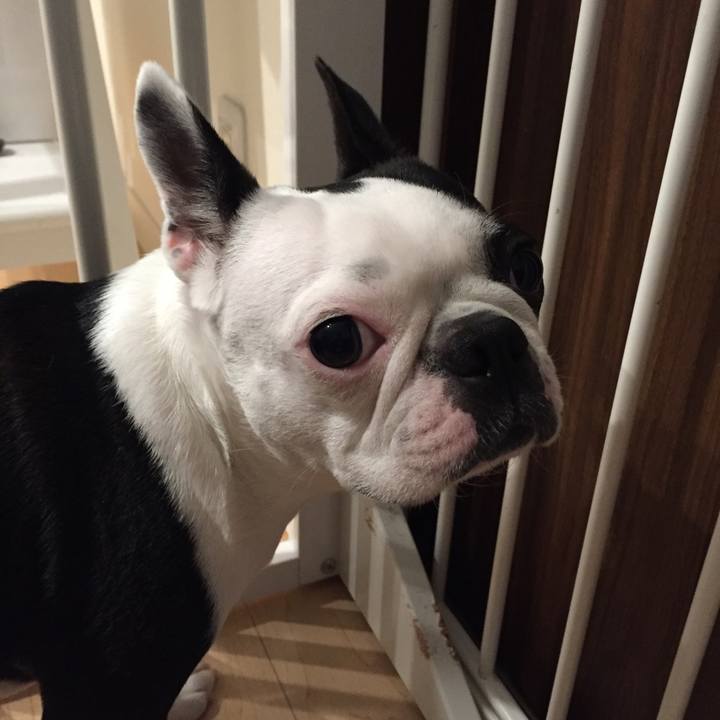 A8fc2e4e 9286 431b 891f 2d9b6b7bd442