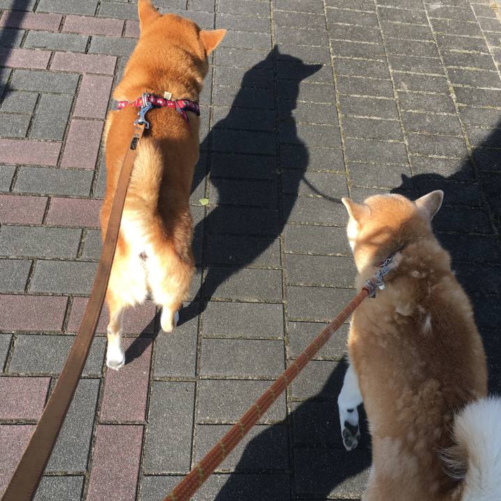 A8fdfb05 7885 492a 8f48 f491eeba3800