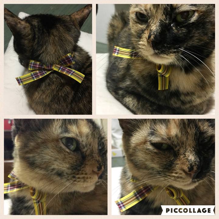 A8fe34e1 c249 4060 8e44 7cae4ffa101e