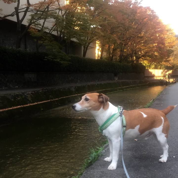 A8feab24 8199 4d2a b791 e802651c37cf