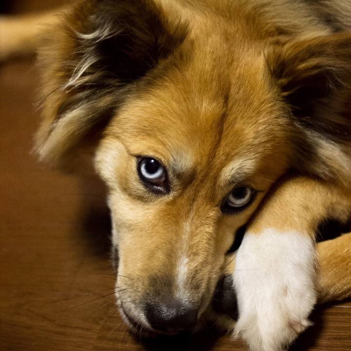 A8ff1c9e 3301 40e6 9a35 4d98e7ca71d0