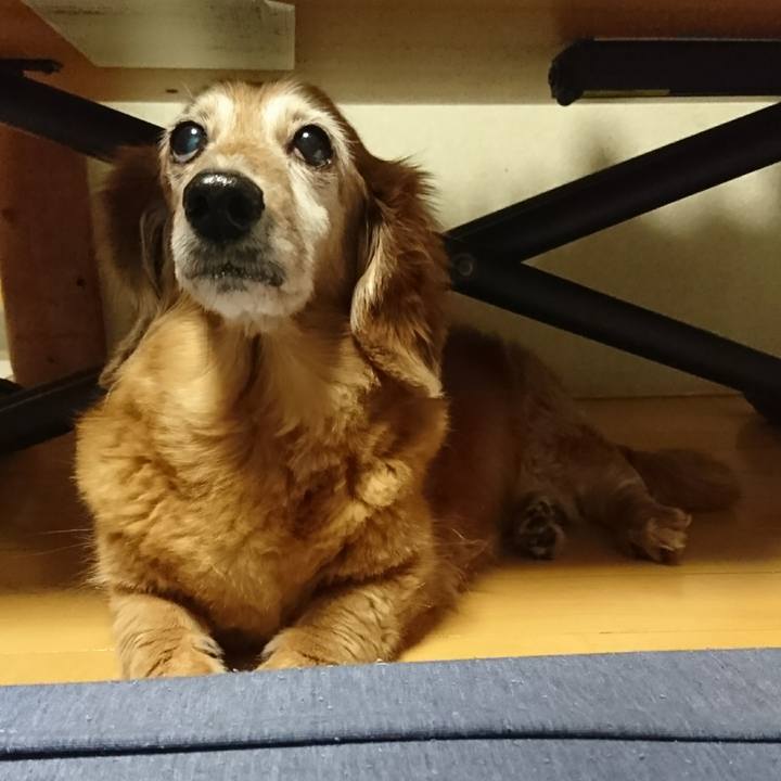 A8ff439e 16e3 42cd a2f8 4a9b53efa2de