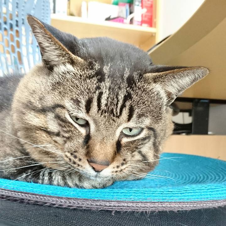 A8ff5522 d28a 4fcc 8925 6198f22caabb