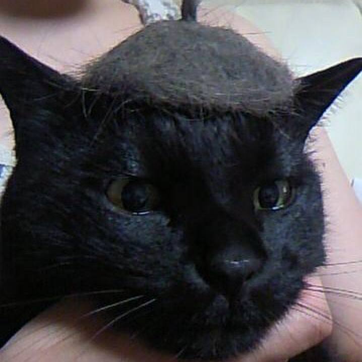 A8ff6c21 9610 4a17 89be 34ffbb4f257c