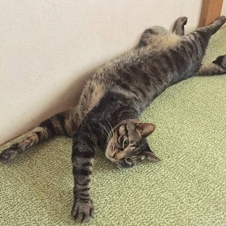 A8fffd84 a4b7 473f 8dfc 6ed75a8eccf1