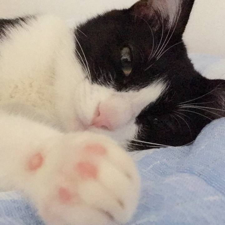 A900a810 c29e 4027 a028 e650f3b138ac