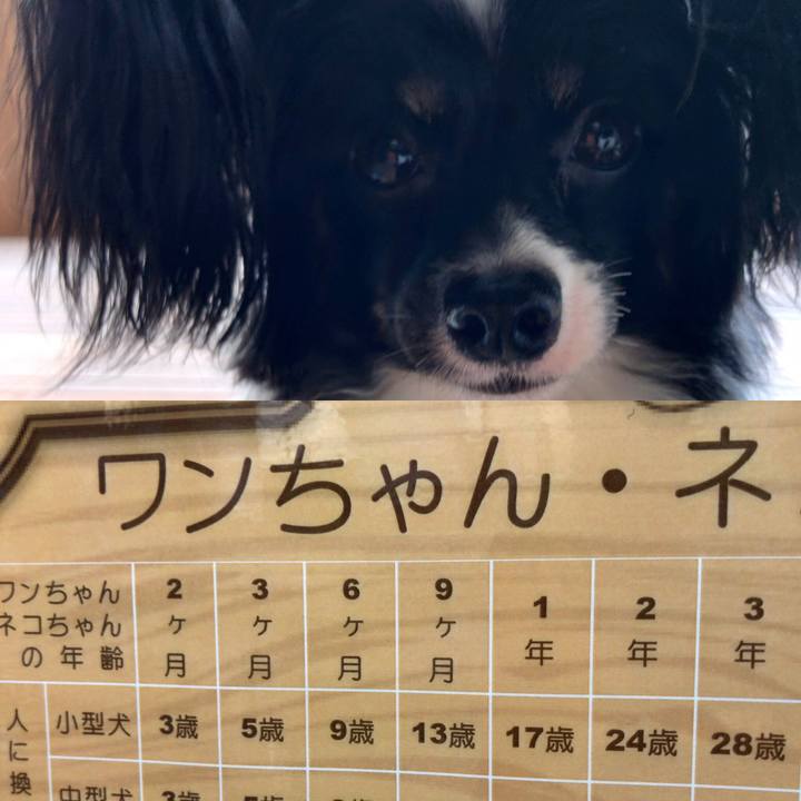 A900bdfa baba 4f80 a1ad 943728b48adc