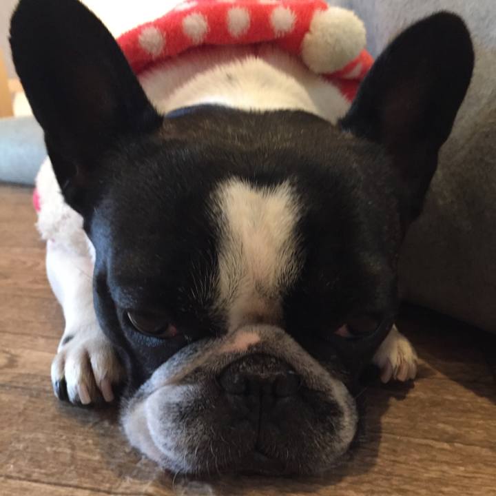 A901deed 5152 427e be7f 3fa42e497dba