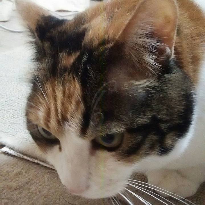 A9023829 f722 4c02 a8f8 831992f59f80