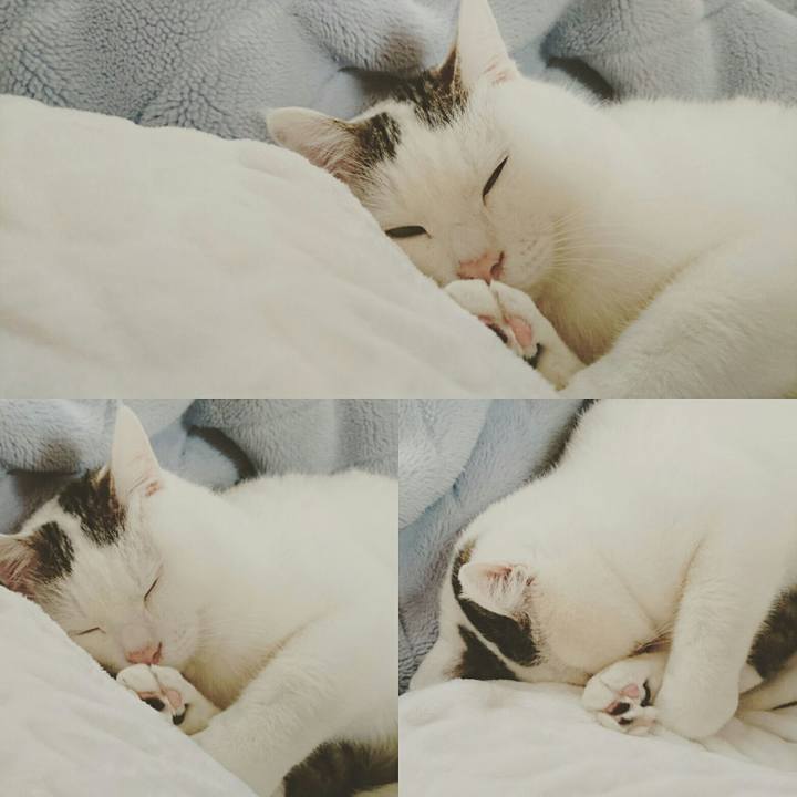 A9028439 1161 430f a07e 12eea578ca2c