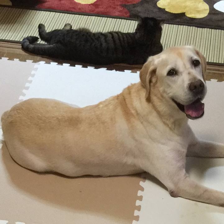 A902bf66 dbf3 4798 9aee 69bcce7d4adc