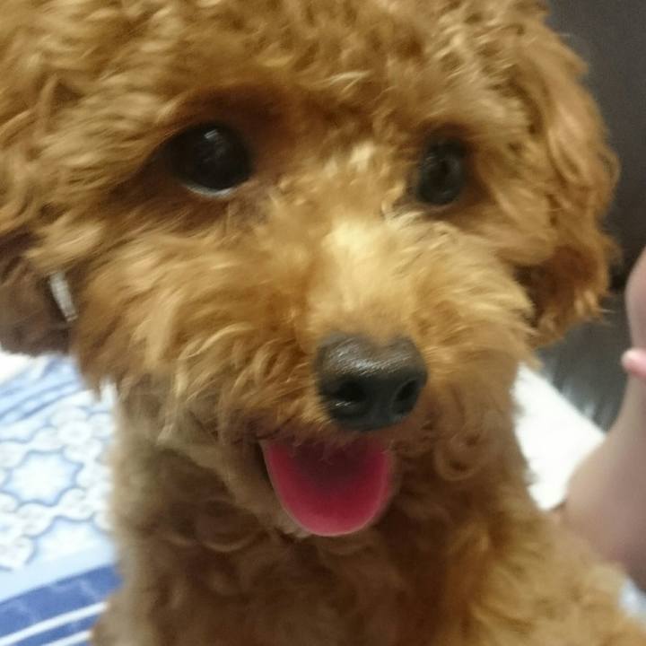 A902c317 aa47 4407 a6a2 5105c62c767b