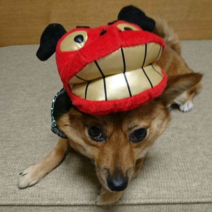 A902eb3e d0b1 475f 977d 705b5f8c6d81