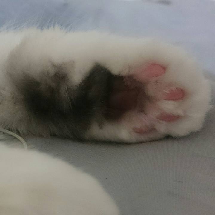 A9035d54 71d9 4a90 9188 b42b703931d5