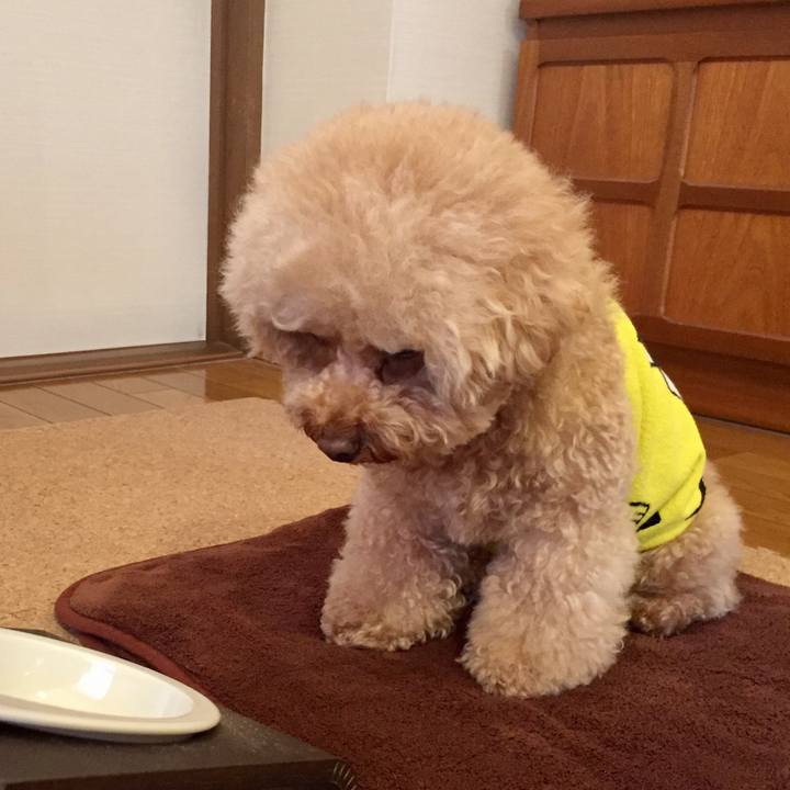 A903ac40 f931 4e03 bf94 cc0a6acda706