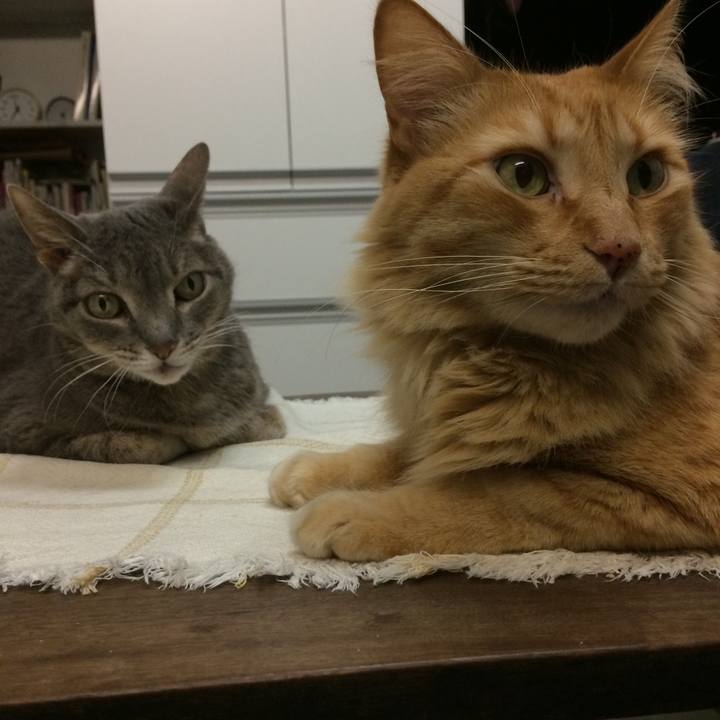 A903d8b4 002b 4d82 aecd 0c2c89916ee1