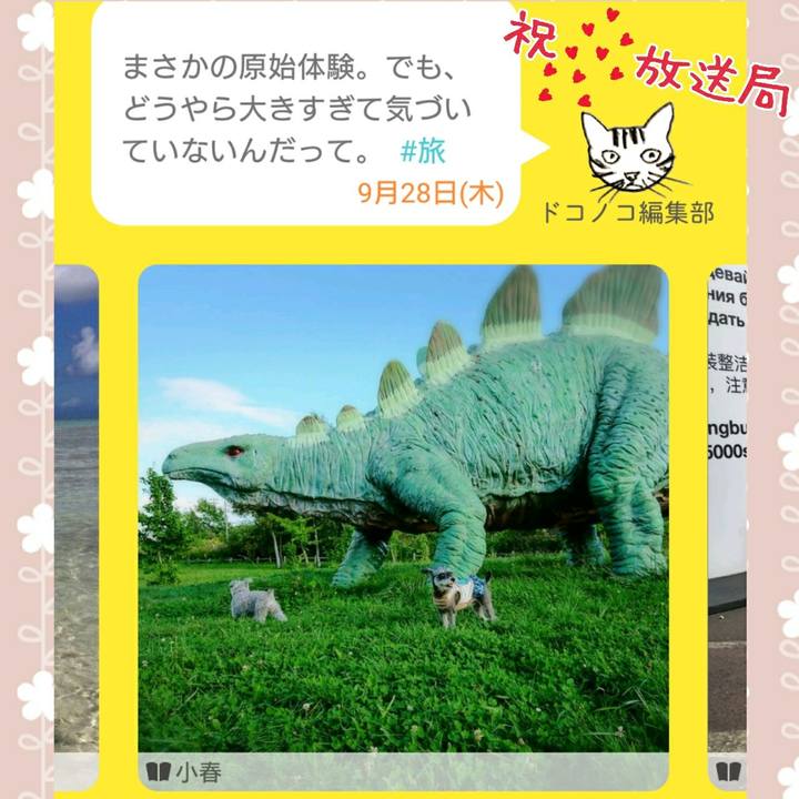 A904c996 f0de 4d94 bd8d ca974912084f