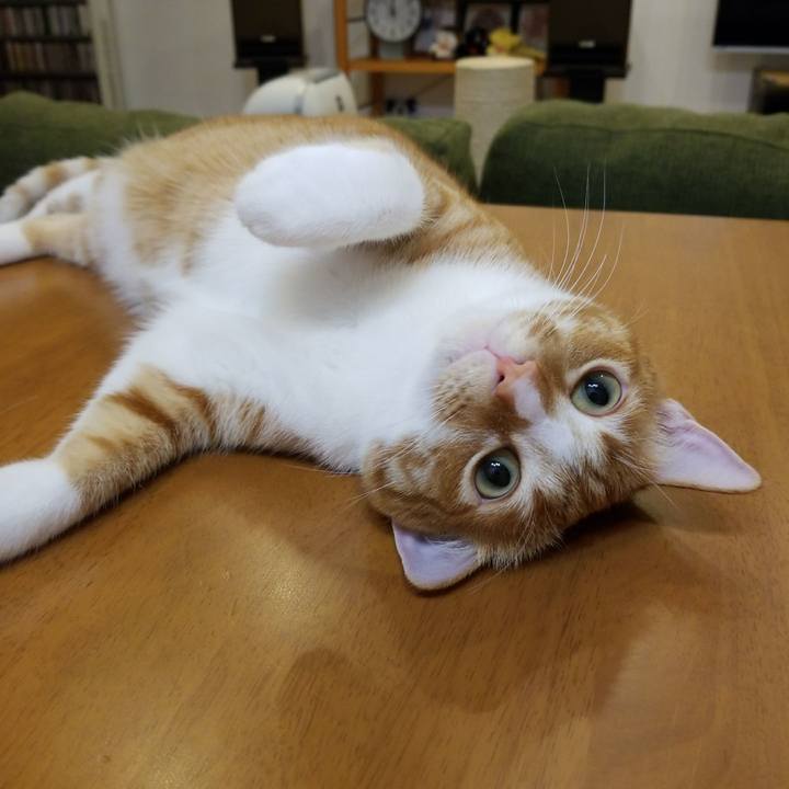 A904e1bc c99a 4301 896b 16b9b9af5f32