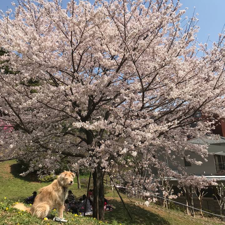 A904f704 1016 406e 8b8d e8106d662950