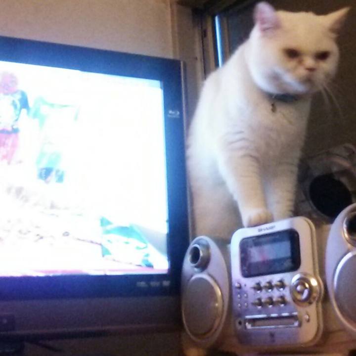 A9060695 75a7 40b7 abd8 455c9f71fd12