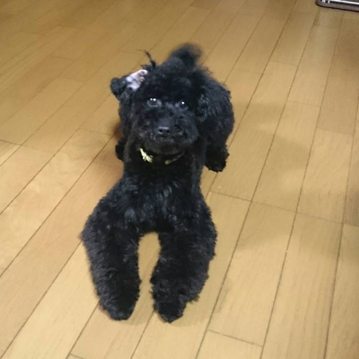 A9061f08 18c6 4de4 88c8 8612a12c2070