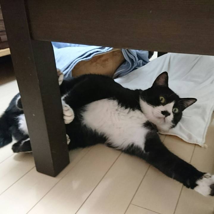 A906db76 1fe8 4e58 8ea1 239775b8231d