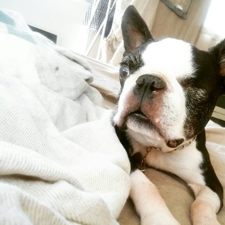 A906e97b bcf7 428f a0ff ced67d75ce2a