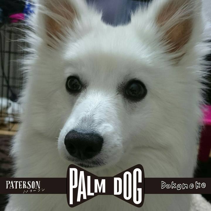 A90727a7 a17d 415a 9515 a27703a27df5