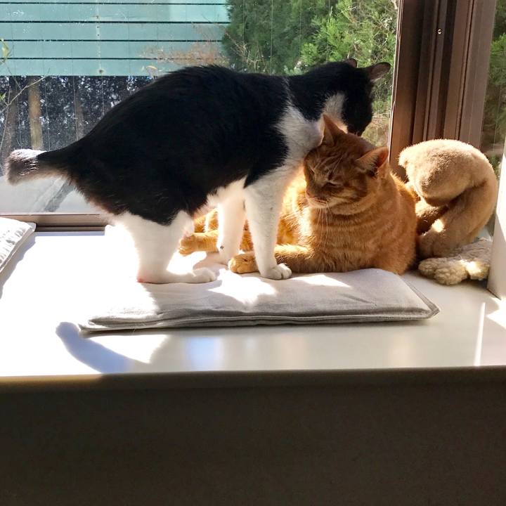 A90848f1 2a90 4c50 9cf2 9df1e4a30ee1