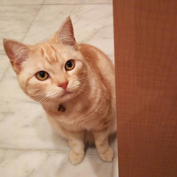 A9085cea 4ed8 401b 8fb8 bdb3d5fd75bb