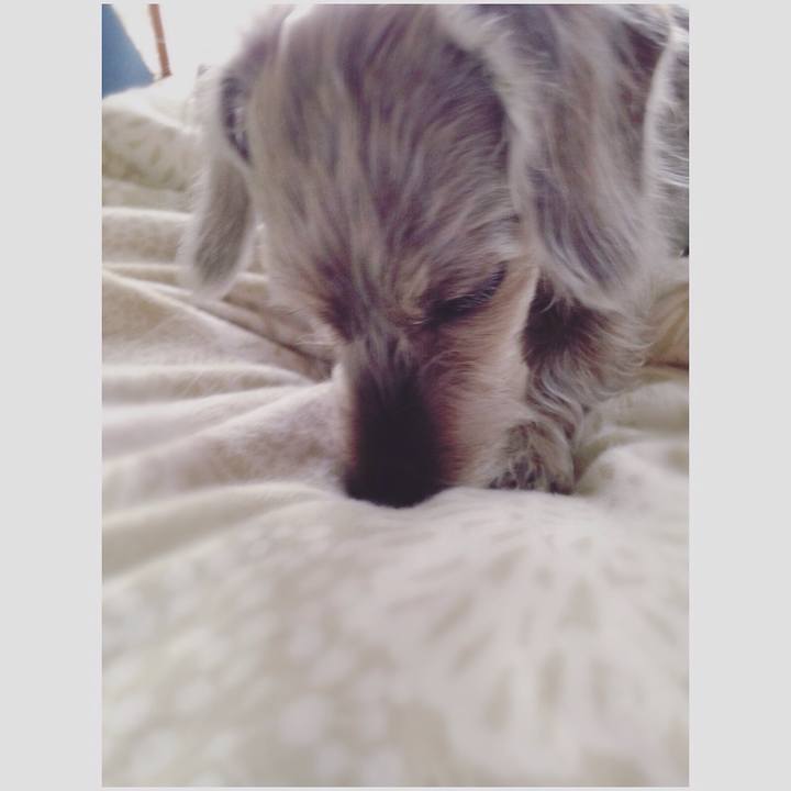 A90948ee 29f4 4aae b311 1a25a31b7862