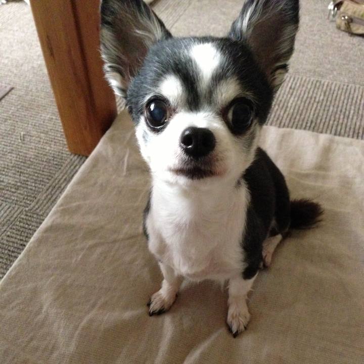 A909c9a6 42a9 4ee1 93b9 da7c6e8bada9