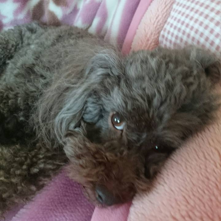 A90b0cce ada1 4d0b a114 6de1e88693cd