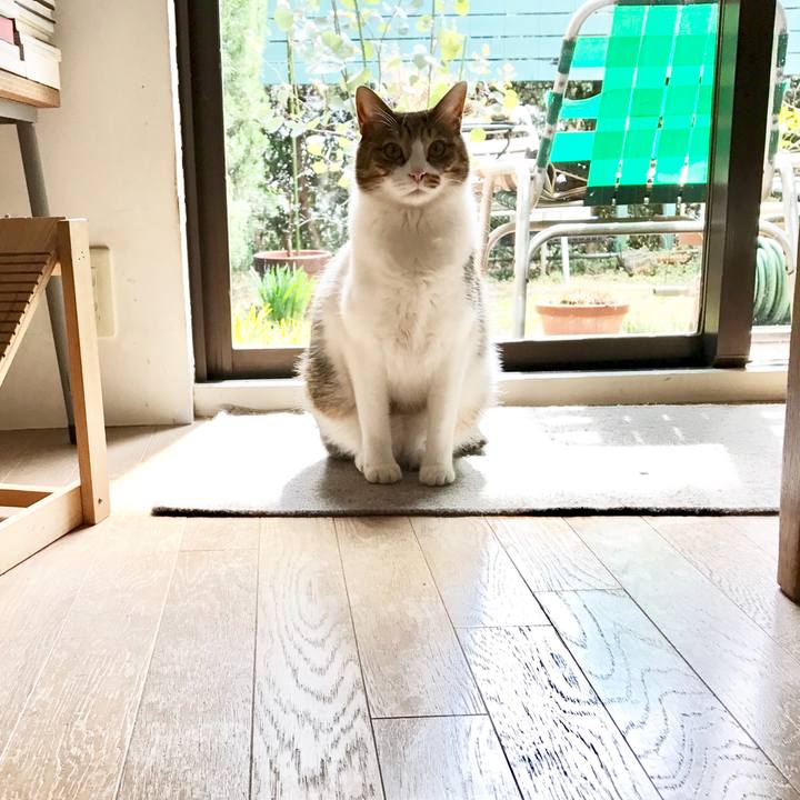 A90b1b61 ee4d 42d5 90a3 0e76708571a2