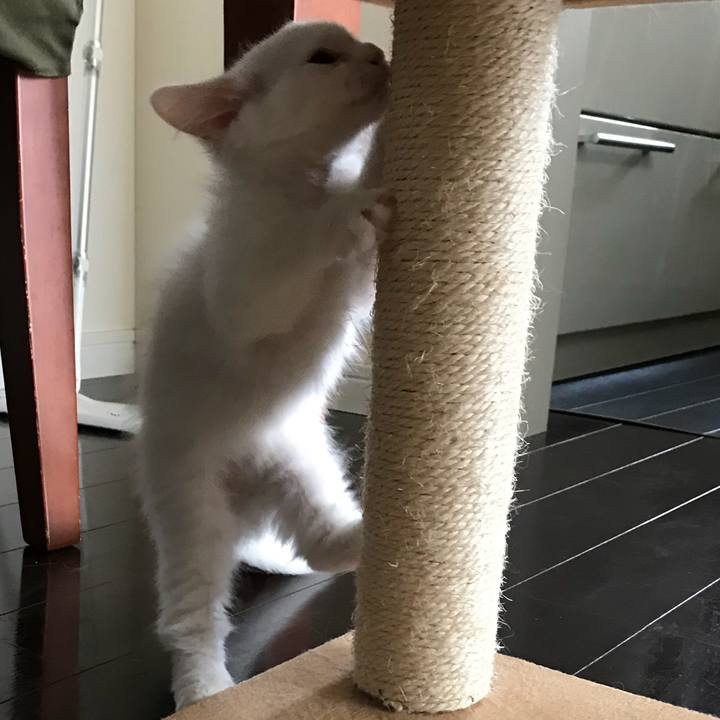 A90b34f2 d996 40d1 86aa 62a6a51c0dfb